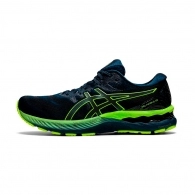 Кроссовки Asics GEL-NIMBUS 23 LITE-SHOW 